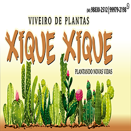 Viveiro de Plantas Xique Xique